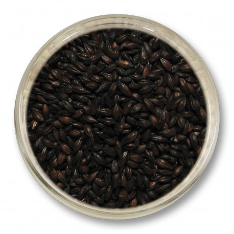 Czekoladowy (1200 EBC) Strzegom - 1kg