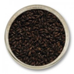 Jęczmień prażony (pow. 1000 EBC) Strzegom - 1kg