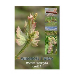 Winorośl i wino