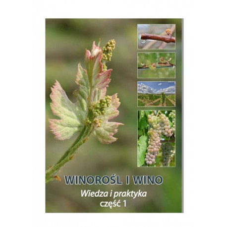 Winorośl i wino