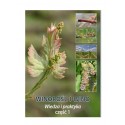 Winorośl i Wino - Część 1