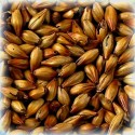 Château Special B® 400 EBC Castle Malting - 50 g